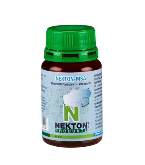 necton.jpg